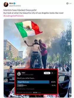 illegal.webp
