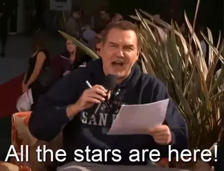 all the stars are here.webp