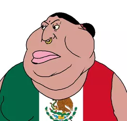 1749672259802.webp