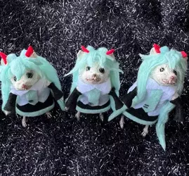il_794xN.6352121445_h5gv.webp