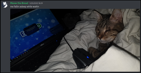 00. Meet meow.webp