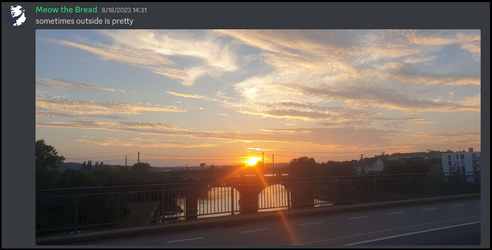 07. Outside.webp