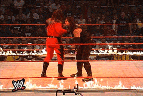 IMG_8905.gif
