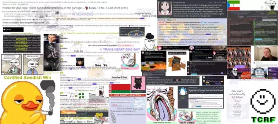 1749695176842.webp