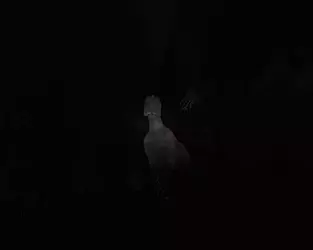 1749703503147.webp