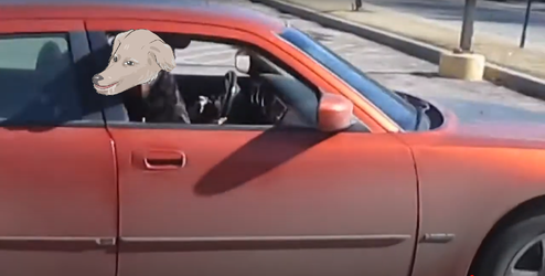 SlobbermuttFedsmokerCar.webp
