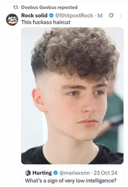 hair.webp