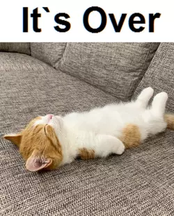itsover.webp
