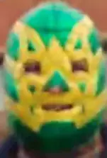 gator_mask.webp