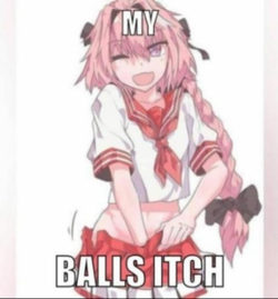 ballsitch.webp