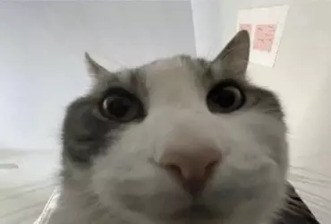 Gs8zD_gWYAAo292.webp