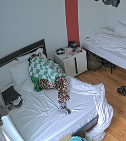 Screenshot 2025-06-14 075054.webp