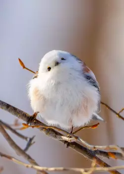 1749917930788.webp