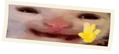 hiiiiii polaroid.gif