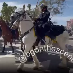 horse.webp