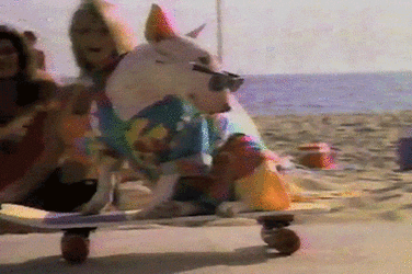 look at that woof nigger go.gif