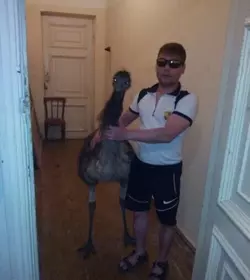 emu best friend.webp