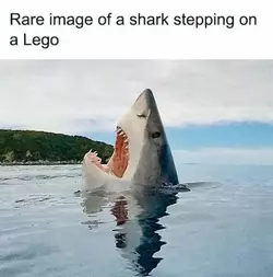 1749097680988506m.webp