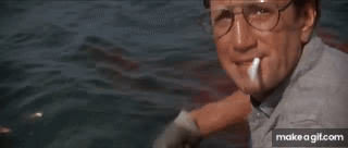 XBZO5F.gif
