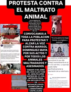 1000001581.webp
