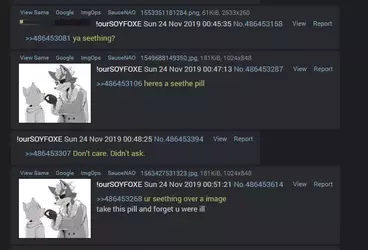 soyfoxe1.webp