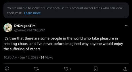 Screenshot 2025-06-15 at 21-37-39 DrDragonTim on X @UmbraButDarker It's true that there are s...webp