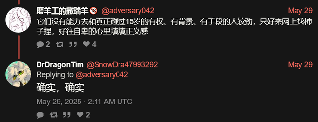 Screenshot 2025-06-15 at 22-15-52 DrDragonTim (@SnowDra47993292) 确实，确实 nitter.webp