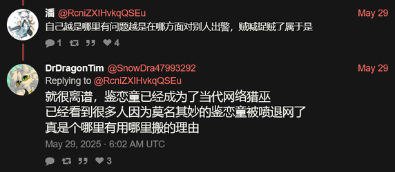 Screenshot 2025-06-15 at 22-17-05 DrDragonTim (@SnowDra47993292) 就很离谱，鉴恋童已经成为了当代网络猎巫 已经看到很多人因...webp
