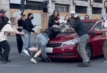 7498288-4bd60eb1f654bbf232788bc6b920bbaf-ezgif.com-crop.gif