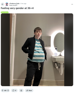 Screenshot 2025-06-15 at 22-35-18 Feeling very gender at 36 4 r_Seahorse_Dads.webp