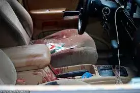 1000005150.webp