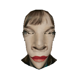 jess (horse face) phillips.gif