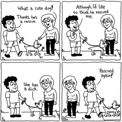 transphobic rescue dog.webp
