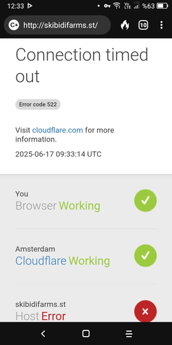 Screenshot_2025-06-17-12-33-45-904.webp