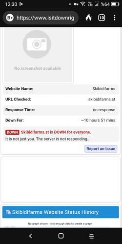 Screenshot_2025-06-17-12-30-49-587.webp