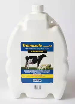 Tramazole-10-e1564389447899.webp