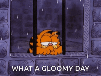 IMG_7606.gif