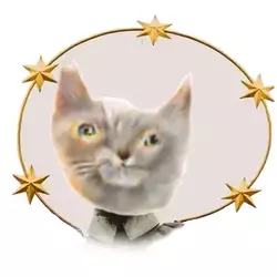 holycats.webp