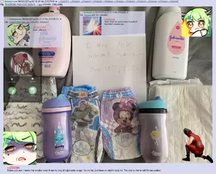 vt diaper fag.webp