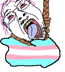 1749426402073f.gif