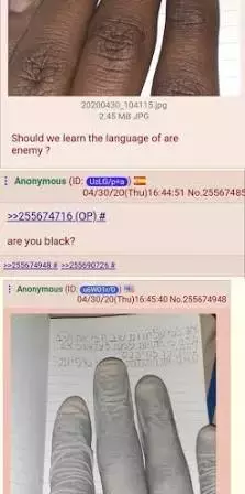 1750270703492.webp