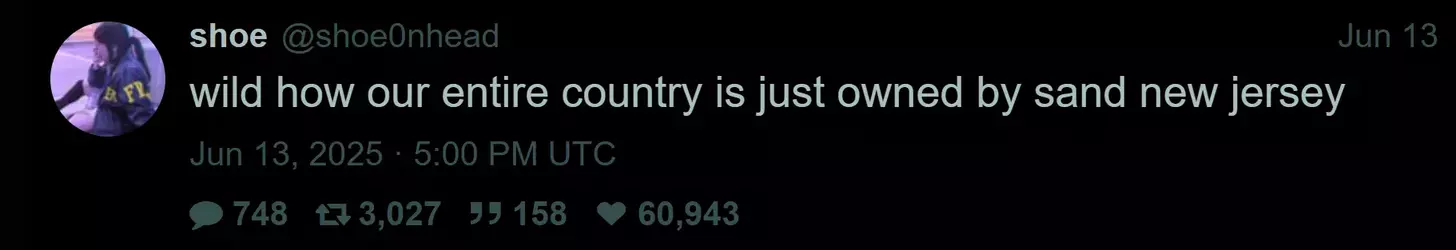 brave_screenshot_nitter.poast.org - 2025-06-18T161533.261.webp