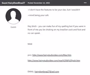 what is this gay ass shit.webp
