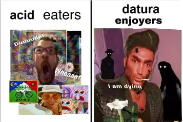 DATURA ENJOYER.webp