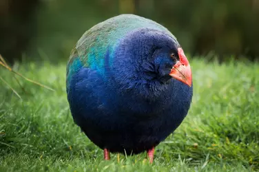 159647042_4224391700927687_5274882065567353640_n.webp