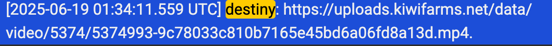 54333333.webp