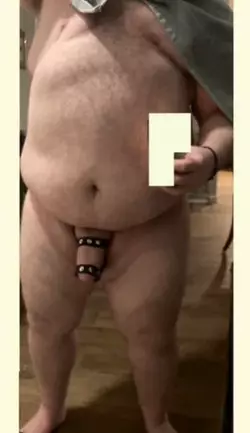 wtf5.webp