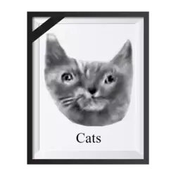 cats f.webp