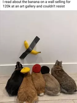bunnys and art.webp