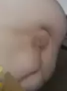 1750371316663.webp